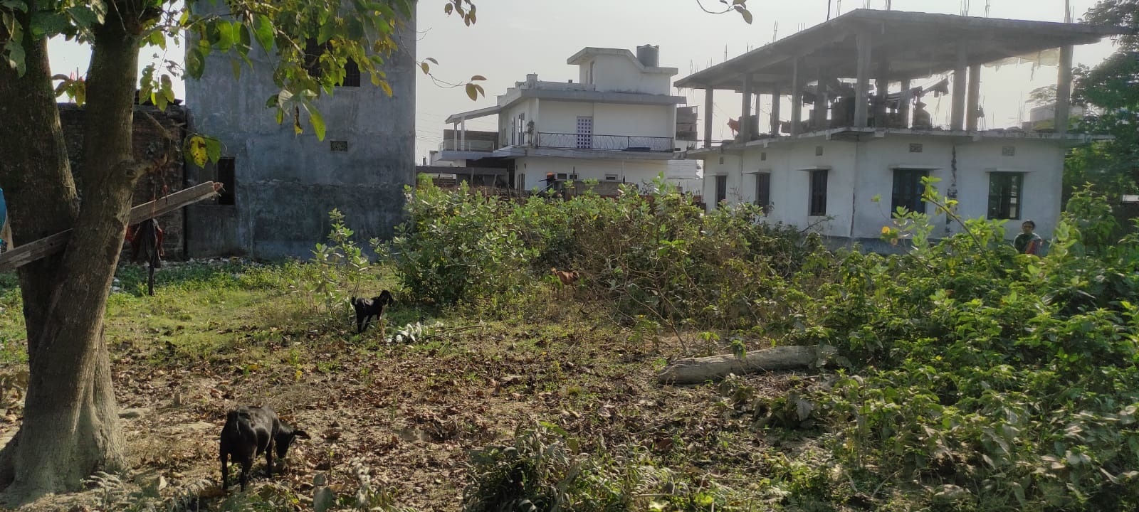 1 kattha land on sale near hatkhola biratnagar