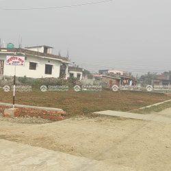 land for sale at bargachhi biratnagar